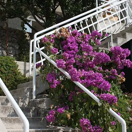 By The Sea Podgora, Makarska - 4670 Lägenhet *